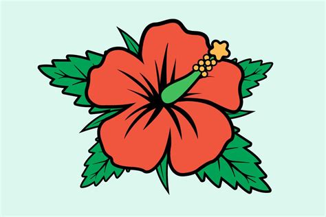 Parts Of The Gumamela Flower Flower Drawing Gumamela Hibiscus