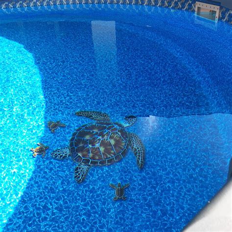 Baby Turtle C Brown Porc St22c Br Pool Mosaic Aquablu Mosaics