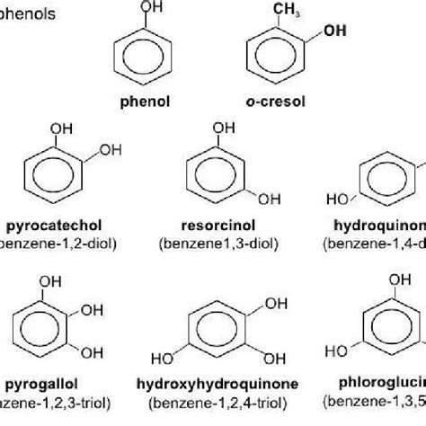 Schematic Representation Of Classification Of Phenolic Compounds