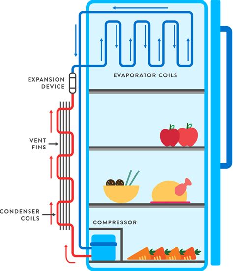 Control Circuit Fridge Diagram Refrigeratorzer Wiring Diagra