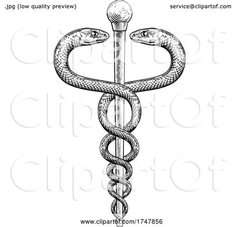 Caduceus Vintage Doctor Medical Snakes Symbol By Atstockillustration