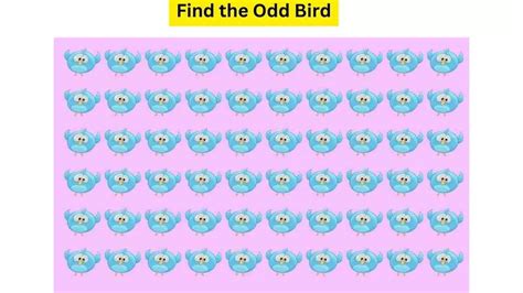 Odd One Out Puzzle Can You Find The Birdie Different From Others In The Flock Within 11 Seconds