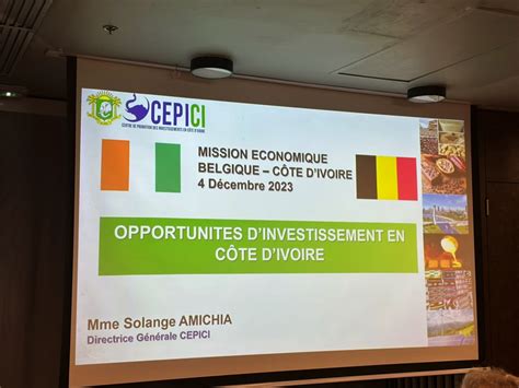 Attraction Des Investissements Le Cepici Au C Ur Des Changes