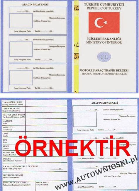 Turcja Dow D Rejestracyjny Certificate Of Registration Certificat D