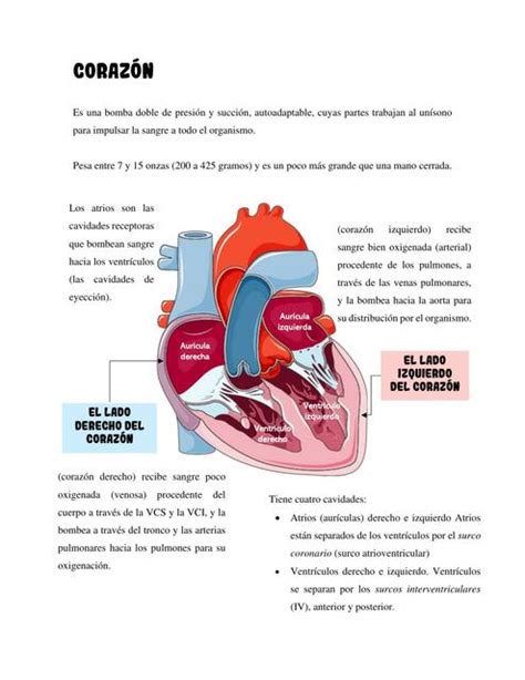 Corazón Sucely Rivas uDocz