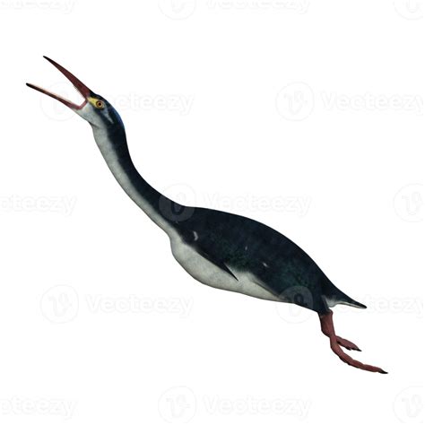 Hesperornis Prehistoric Bird Isolated Png