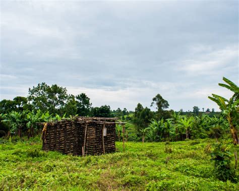 130+ Uganda Boda Boda Stock Photos, Pictures & Royalty-Free Images - iStock