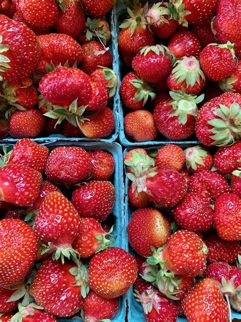 Valley Strawberries Fresh Picked 1 Quart