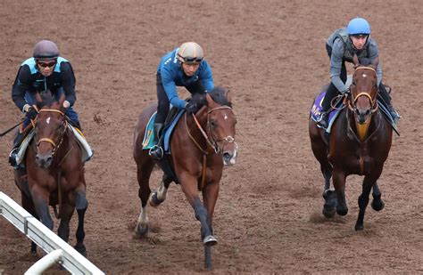 【毎日ベスト3】スプリンターズsの追い切り激アツ談話ベスト3 毎日ベスト3 競馬コラム写真ニュース 日刊スポーツ