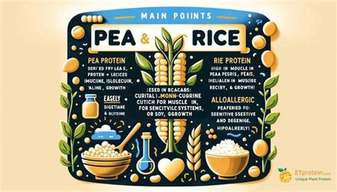 The Optimal Pea And Rice Protein Ratio A Comprehensive Guide