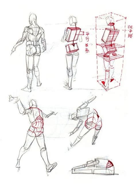 Pin By Abdullah On Anatomy And Gesture Perspective Drawing Lessons