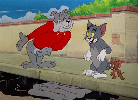 Tom & Jerry Pictures: "The Truce Hurts"