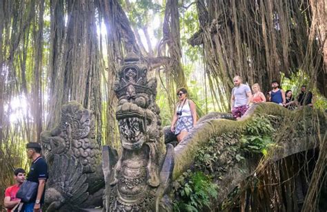 Ultimate Monkey Forest Ubud Tour - Red Dog Bali Tours