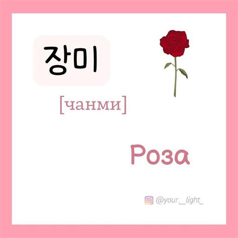 An Image Of A Rose With The Words Posa In Korean And English On It