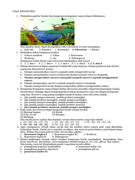Soal Ekosistem Pdf