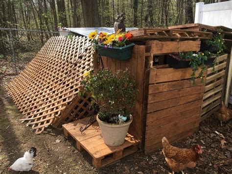 20 Free Pallet Chicken Coop Projects Ideas You Can Build Yourself Sensod