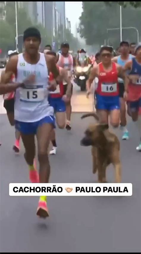 Vira Lata Caramelo Invade Maratona E Corre Ao Lado De Brasileiro