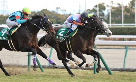 【シルクロードs】2番人気ナムラクレアが重賞3勝目 浜中「g1と同じ舞台で結果を出せて自信になる」 競馬ニュース Netkeiba