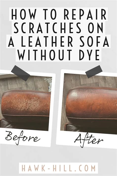 How To Cover Dog Scratches On Leather Furniture Odditieszone