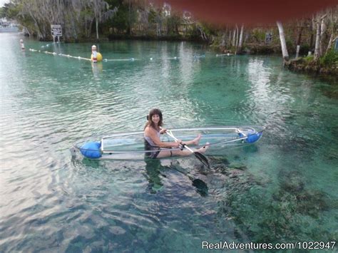 Snorkeling with Manatees in Crystal River, Crystal River, Florida Eco ...