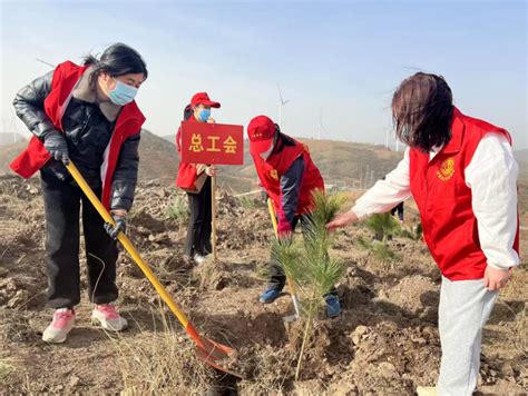 叶县总工会组织参加2023年度春季义务植树暨国土绿化活动 平顶山工会网