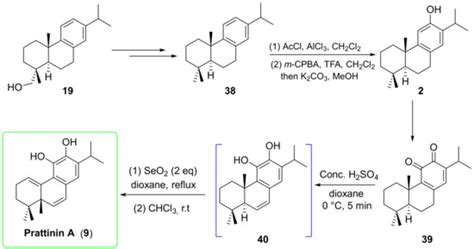 Molecules Special Issue Antibacterial Antifungal And Antiviral