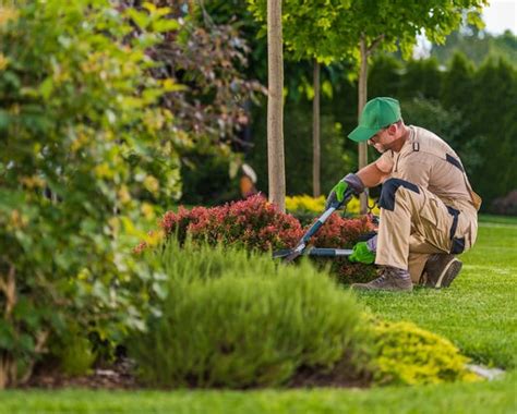 Todas Las Funciones De Un Jardinero Profesional