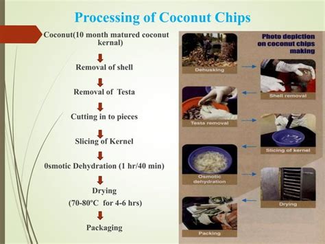 Coconut Processing Ppt