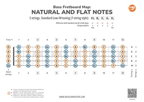 5-String Bass Neck Map With All Notes In F#-Standard Tuning