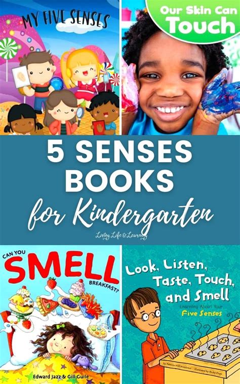 5 Senses Books For Kindergarten