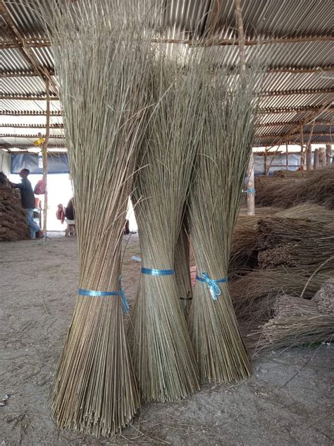 Palm Ekel Broomstick Ahsan Green Herbal