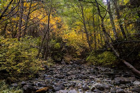 North California Waterfalls Loop Road Trip Redding Shasta