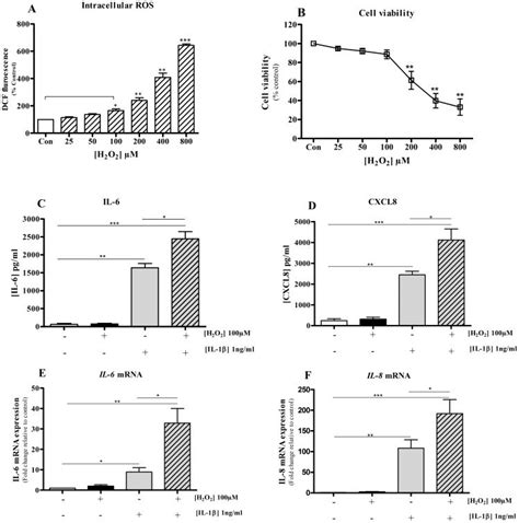 BEAS 2B Cells Were Pre Incubated With DCFH DA For 30 Minutes In Loading