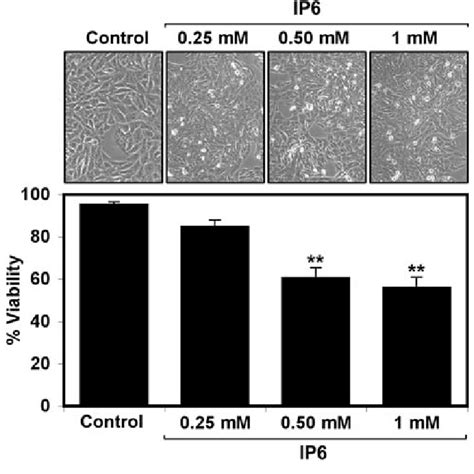 Inositol Hexaphosphate Ip6 Decreased Cell Viability In T98g Cells