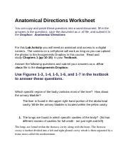 Anatomical Directions Worksheets