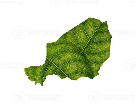 Niger Map Made Of Green Leaves Ecology Concept 32725004 PNG