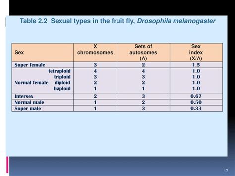 Ppt Anp502 Reproductive Physiology Of Farm Animals Powerpoint