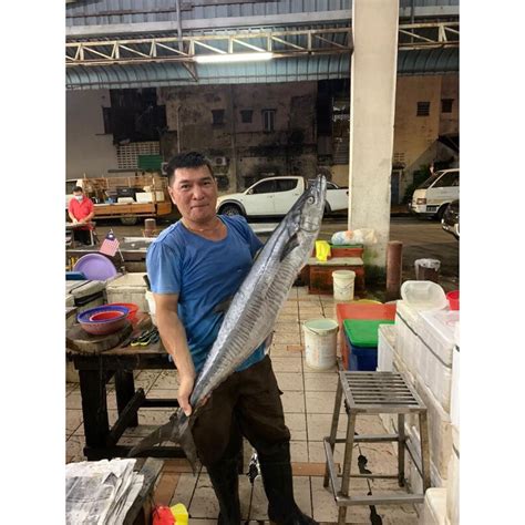 马鲛鱼 Spotted Spanish Mackerel Ikan Tenggiri Bunga 马鲛鱼 Shopee Malaysia