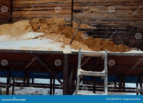 Sawdust On The Conveyor At The Sawmill Stock Photo Image Of Dust