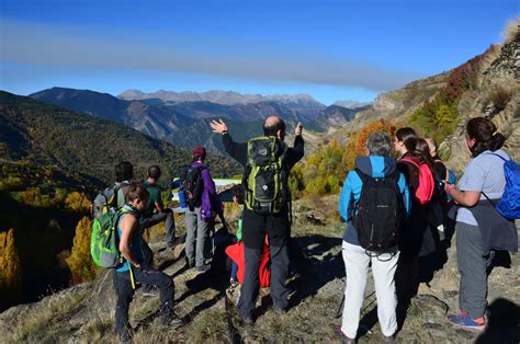 Projecte Boscos De Muntanya Trobada De Tardor Burg