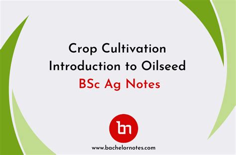 Crop Cultivation I Introduction to Oilseed - Bachelor Notes