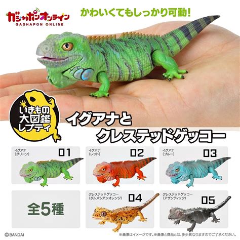 Gashapon Iguana Gecko Gecko Mini Bandai Ikimono Encyclopedia Advance