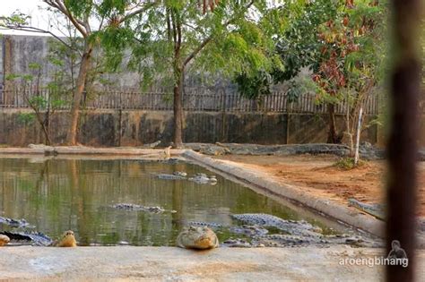 Taman Buaya Tanjung Pasir