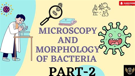 Microscopy Morphology Of Bacteria Part 2 Anatomy Of Bacteria