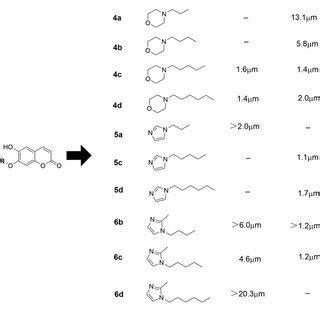 The Structure Activity Relationship Of The Esculetin Derivatives