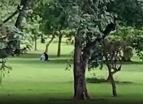 VÍdeo Casal é Flagrado Fazendo Sexo No Parque Das Nações Indígenas Em