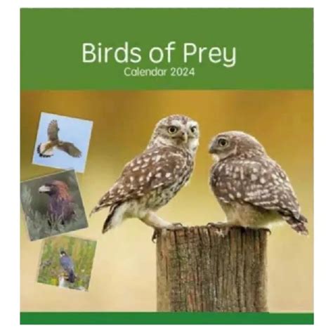 Birds Of Prey 2024 Calendar Large Square Wall Calendar Wildlife 28cm X