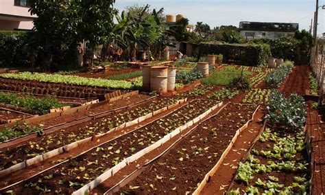 10 Projects Increasing The Resilience Of Urban Food Systems Food Tank