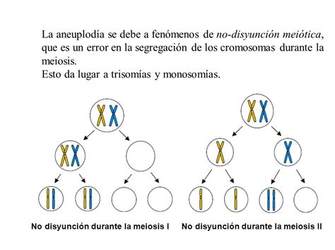 Es Posible Aprobar Neuro Si Sabes Cómo Cromosomas Sexuales Anomalías