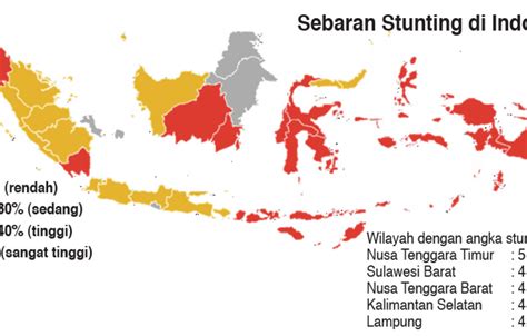 Tingkat Stunting Di Indonesia Homecare24